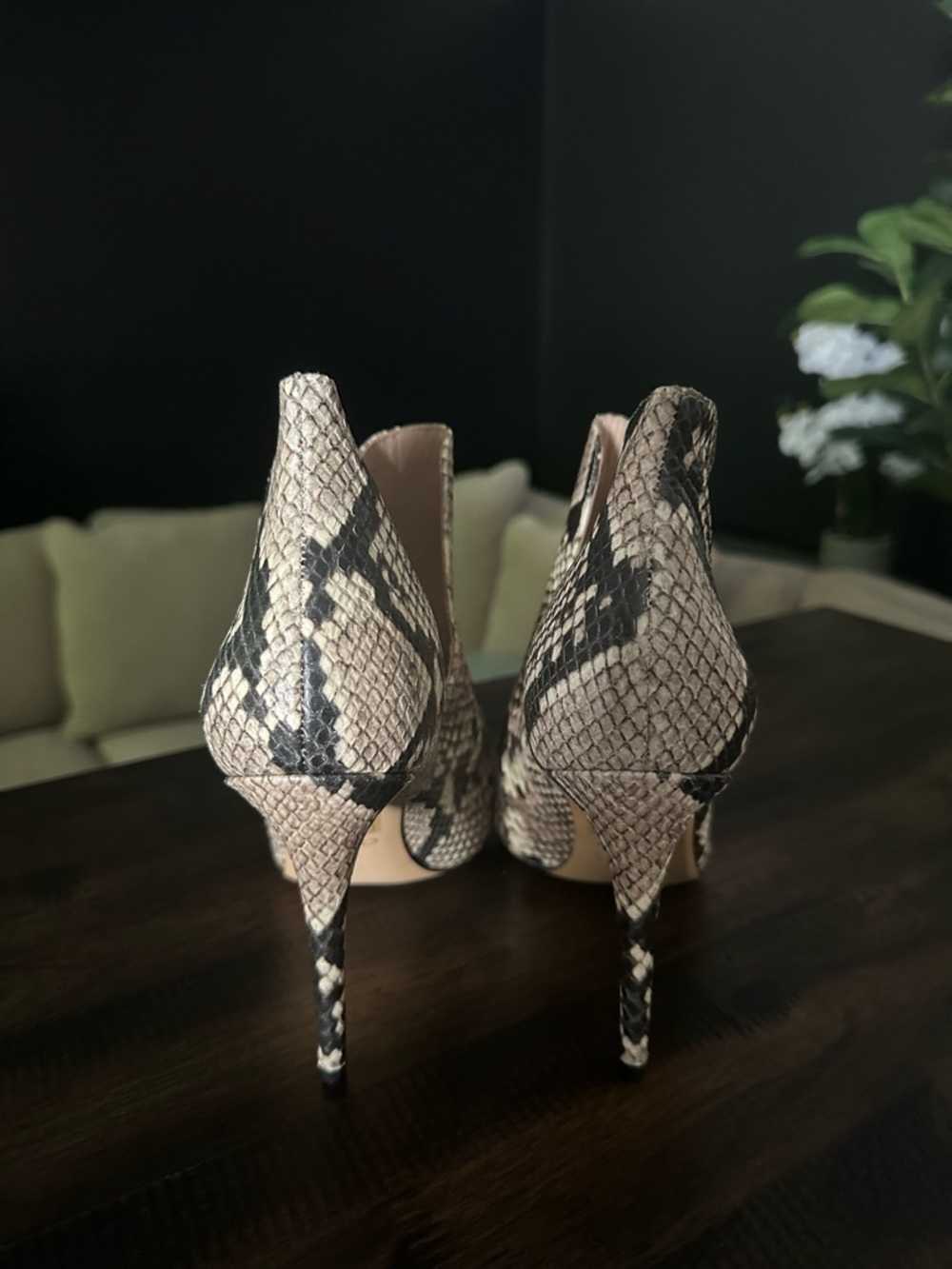 Aldo Snake-Print Booties - Beige/Black - Picture 4 of 5